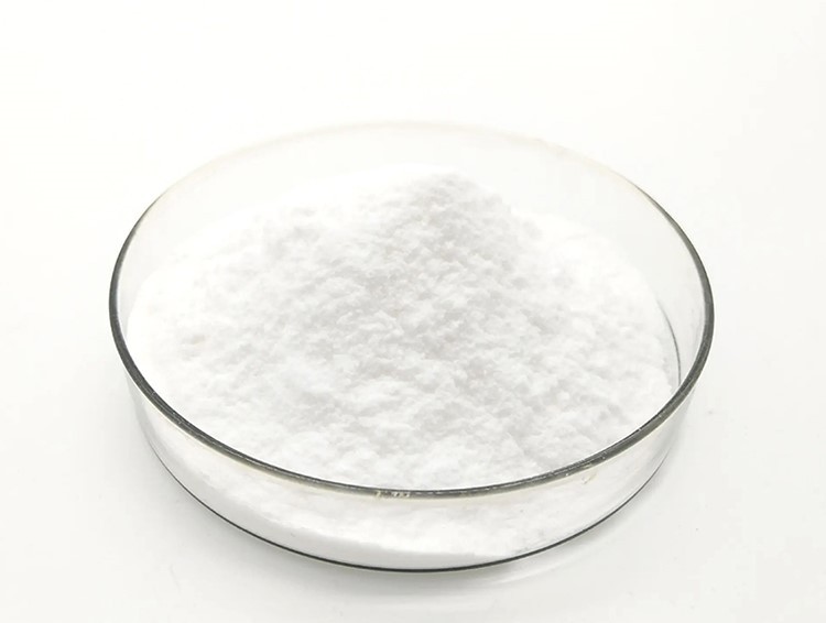 Ococcus Probiotics